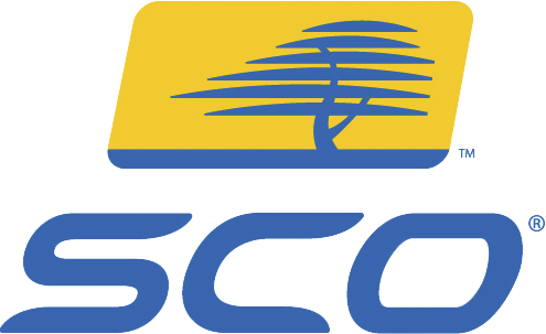 Instalación, Configuración Y Soporte De Servidores - Sco Unix (495x303)