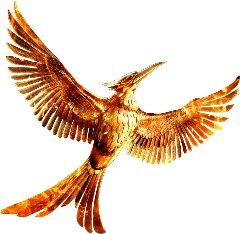 Brds Clipart Mockingjay - Hunger Games Mockingjay Part 2 Png (1024x1365)