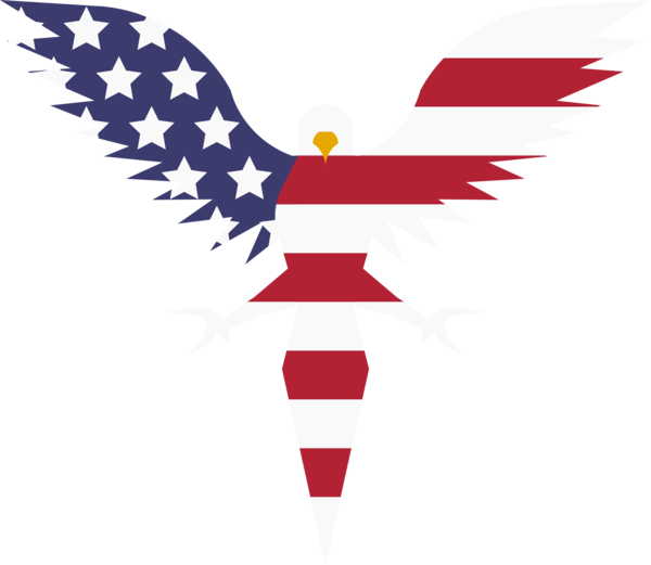 American Eagle Logo By Starkaahn - Flag Of The United States (600x521)