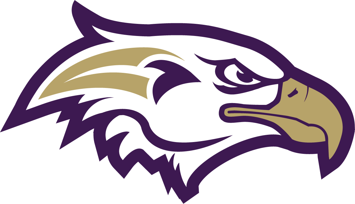 Eagle Sports Png Logos - Eagle Png Logo (1175x675)
