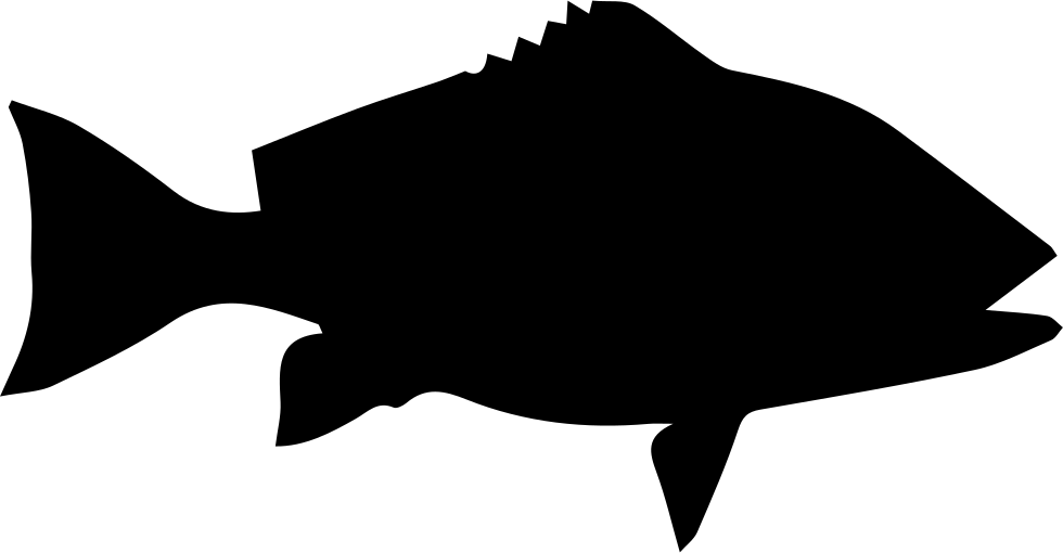 Fish Shape Of Red Snapper Comments - Animal Silhouette (980x510)