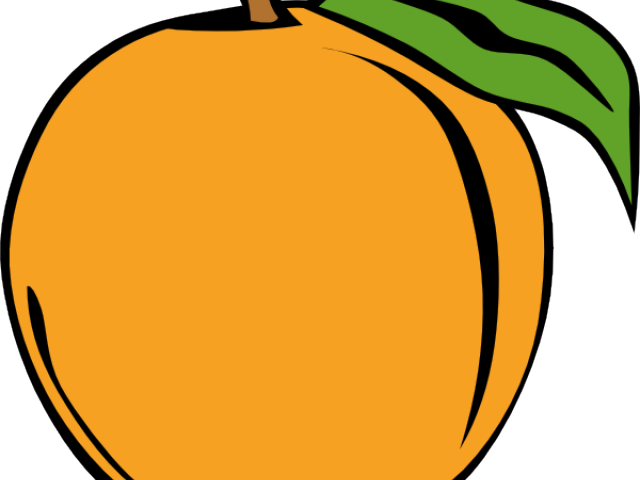 Fruit Orange Cliparts - Peach Clip Art (640x480)