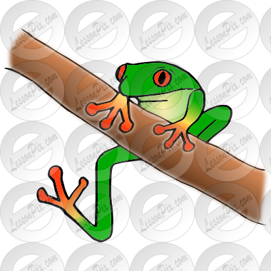 Tree Frog Picture For Classroom / Therapy Use - Tree Frog (380x380)