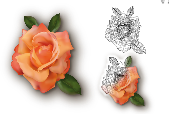 Utilización De La Malla De Degradado - Garden Roses (709x474)