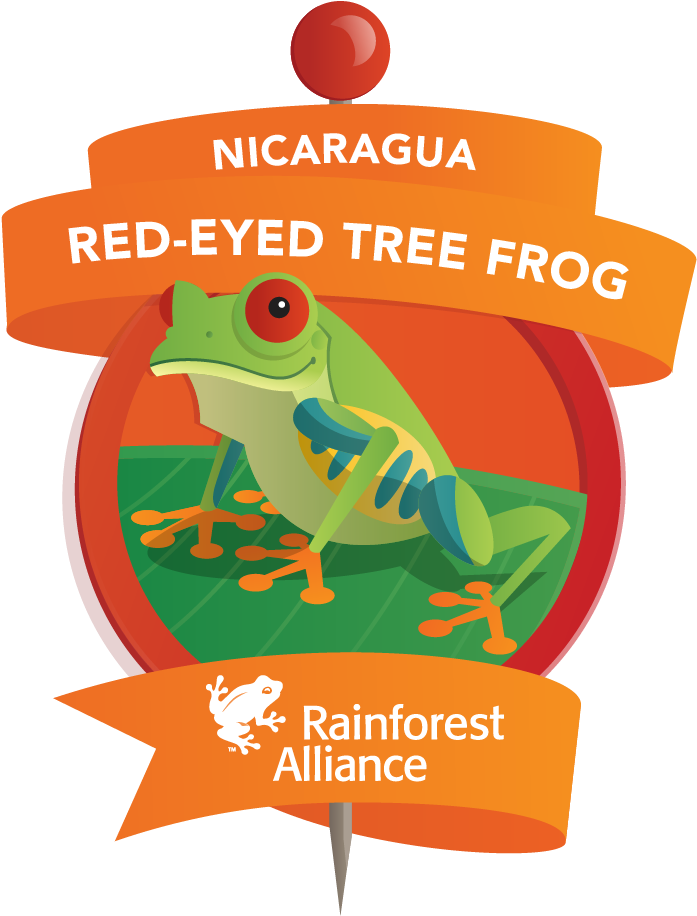 Tree Frog Clipart Rainforest Habitat - Keep Calm Carnival Is Coming (836x1113)