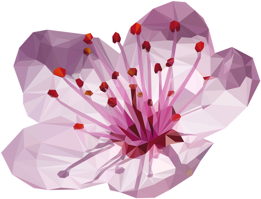 Cherry Blossom Flower Made Up Of 932 Triangles, Adobe - Cherry Blossom Flower Png (1000x1000)