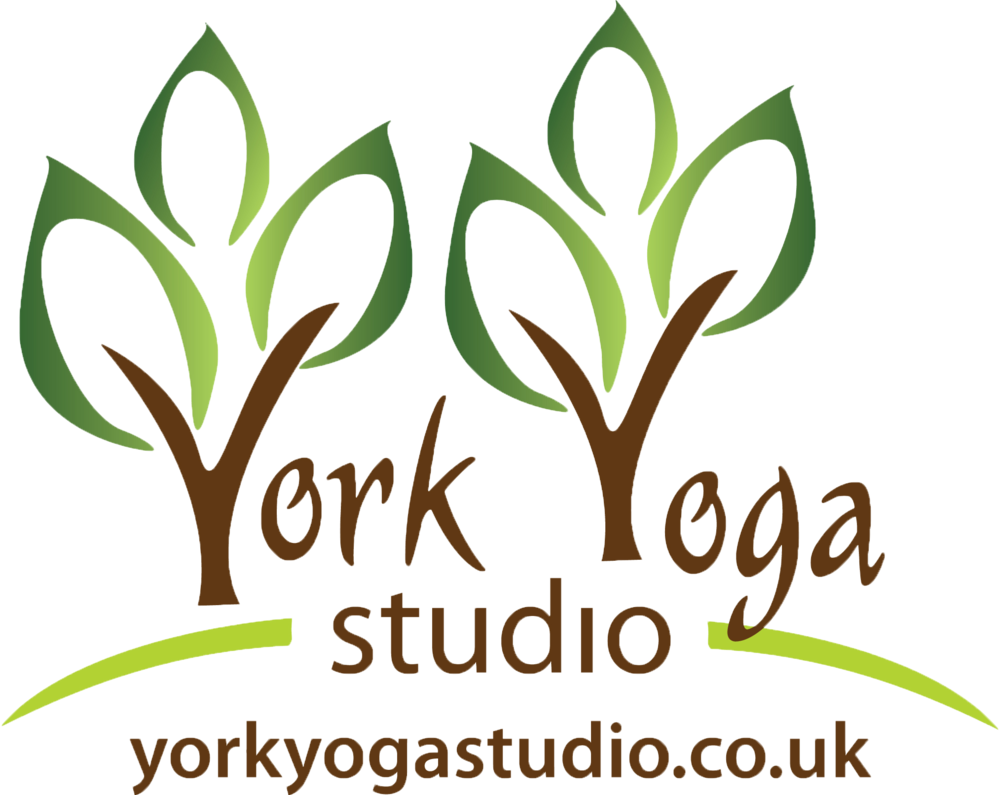 York Yoga Studio - York Yoga Studio (1000x795)