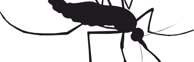 Zika Virus - Zika Virus (620x200)