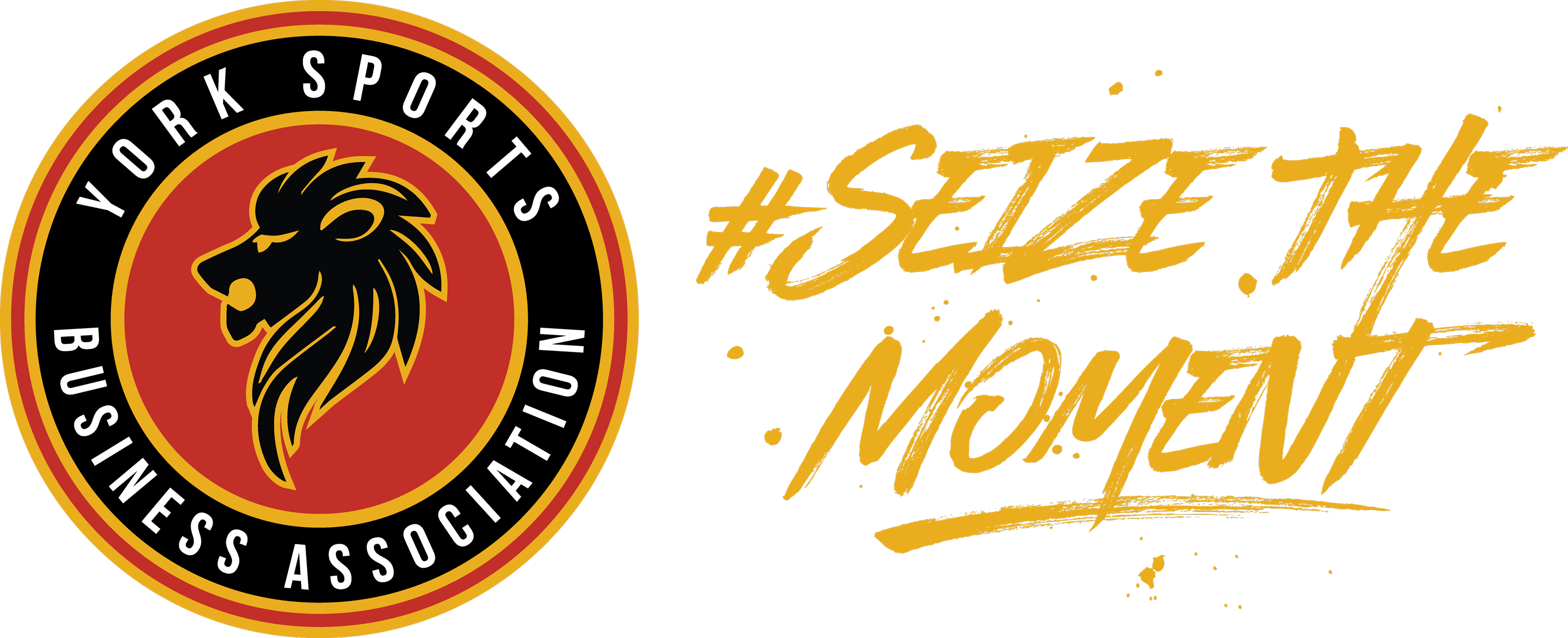 York Sports Business Association - Calligraphy (3209x1306)