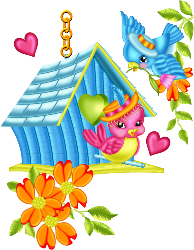 Love Birds Clipart Cartoon - Cartoon Image Of Beautiful Bird (802x1024)