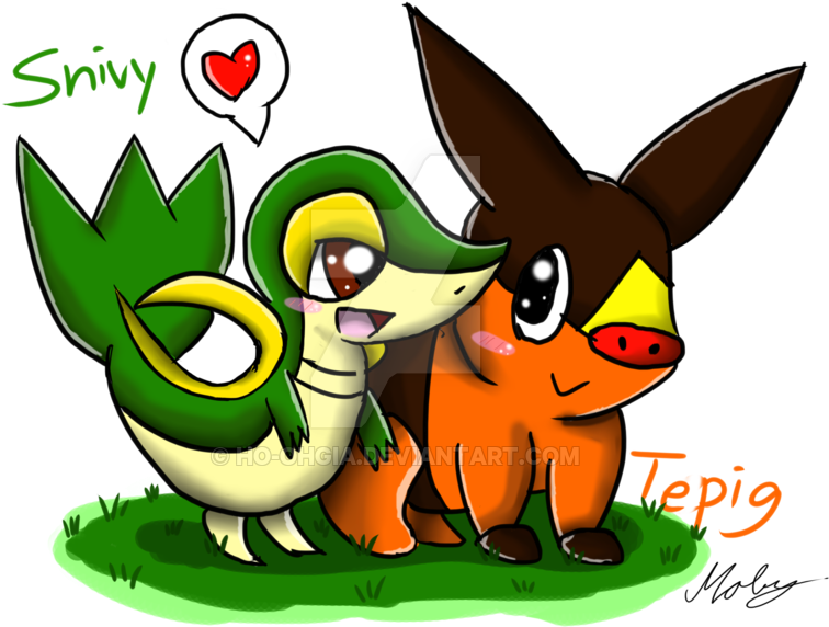 Tepig X Snivy By Ho-ohgia - Cartoon (800x640)