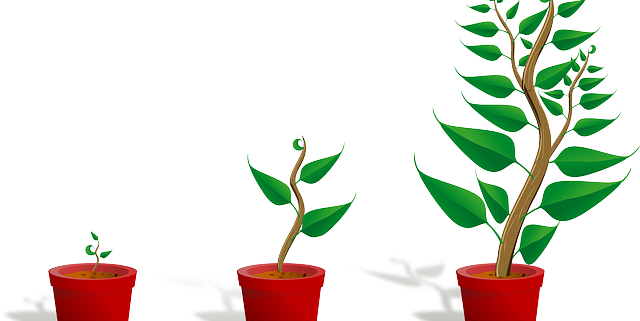 Seed Packet Art @ The Grayson Farmers' Market - Getting To Know Plants (640x321)