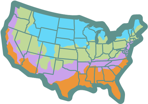 Spaced According To The Seed Packet Instructions - Region (500x373)