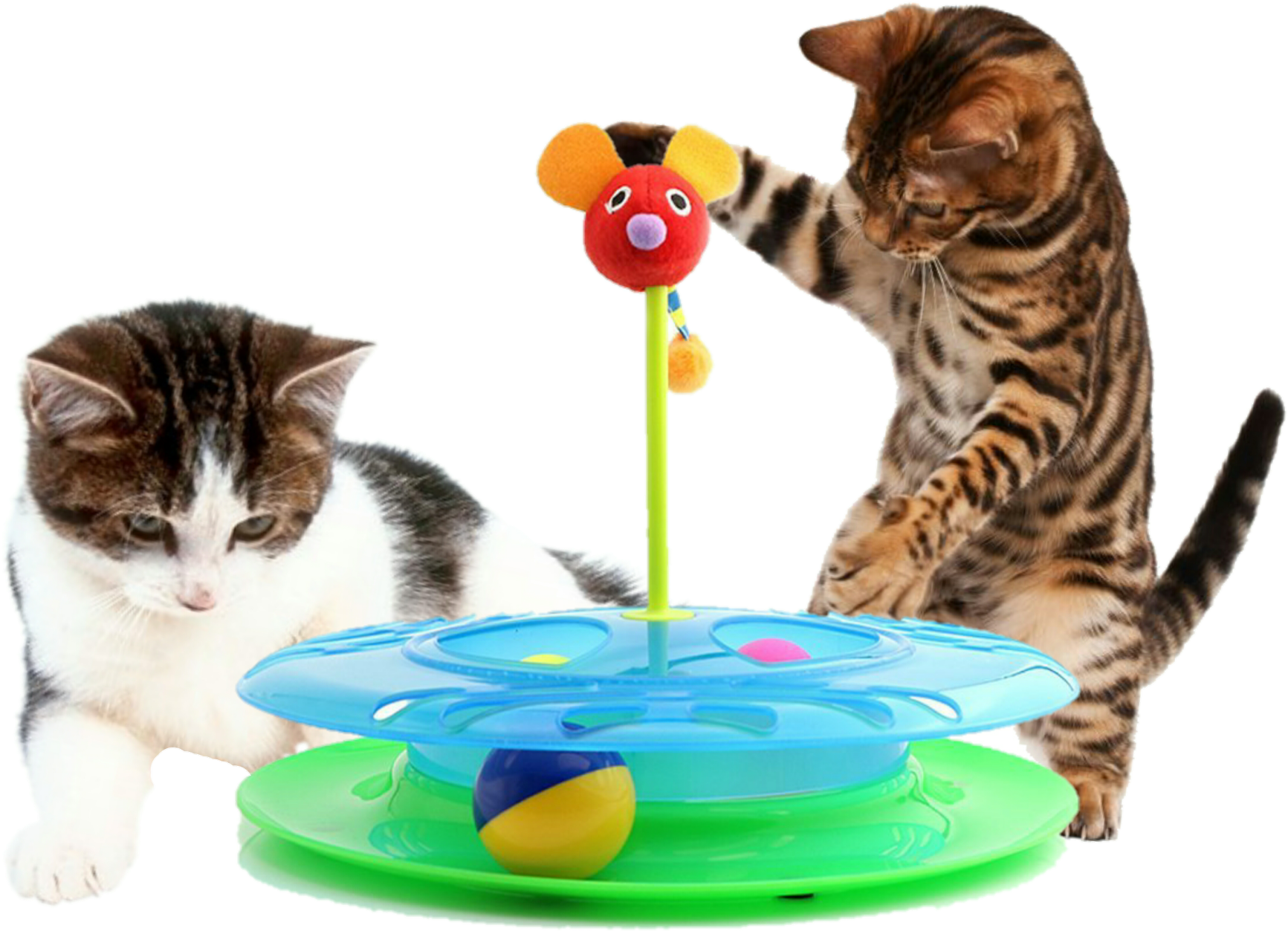 Cheese Chase Track Ball Cat Toy - Happy Cat Kitty Wave (1958x1976)