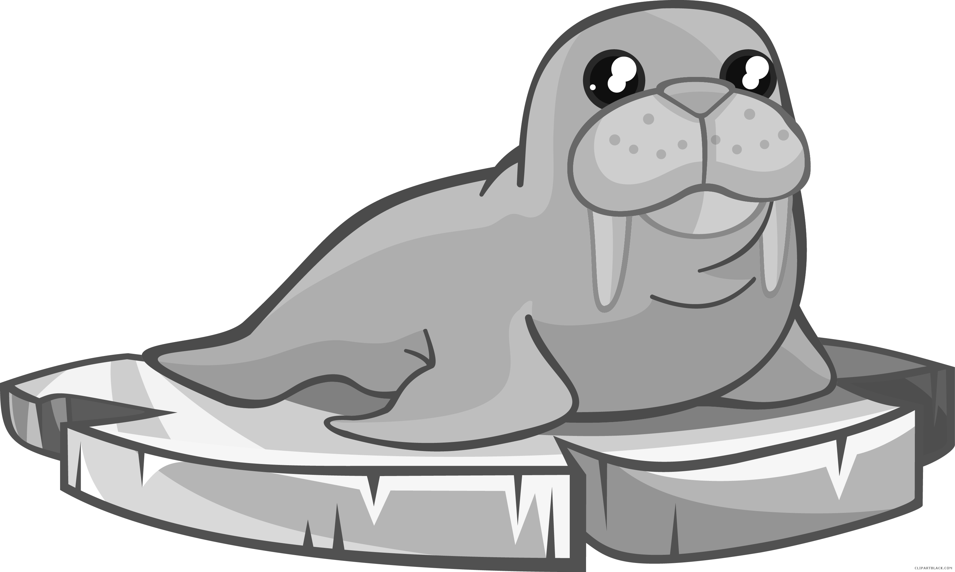Walrus Clipart Page 3 Of 4 Clipartblack Com Rh Clipartblack - Walrus Images Clipart (3163x1896)