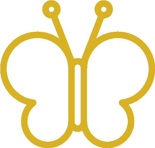 Borboletas - Bicycle (512x512)