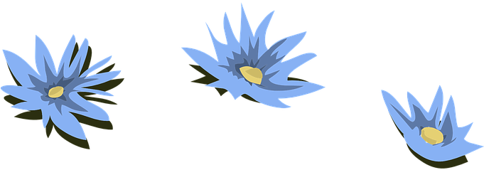 Water Lilies Blue Flowers Blossoms Lily Bl - Lirios De Agua Png (680x340)