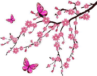 Pensiunea Moldovita - Cherry Blossom Clip Art (450x337)