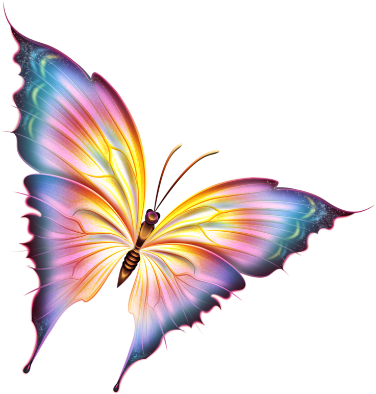 Borboletas - Beautiful Butterfly Png (766x800)