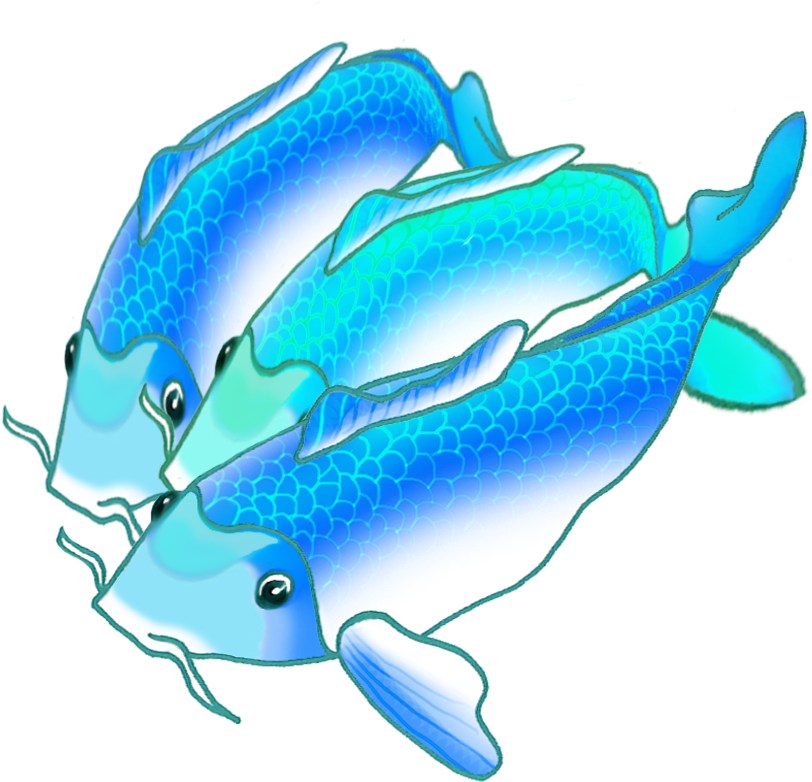 Three Blue Koi Fish - Keyword Research (886x886)