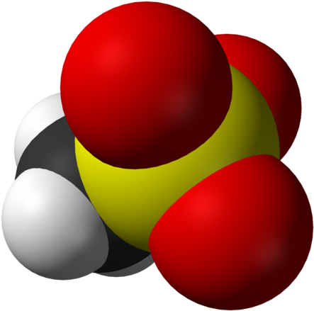 242 × 240 Pixels - Circle (484x480)