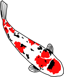 Koi Fish 1 By Viktoria-lyn - Koi Fish 1 By Viktoria-lyn (400x400)