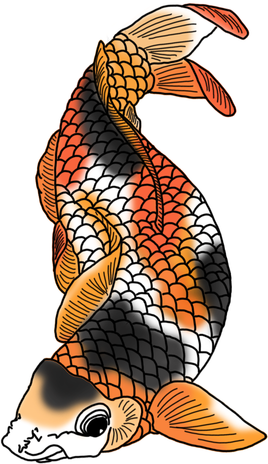 Black White Red Orange Koi Fish - Koi Fish Png (736x1063)