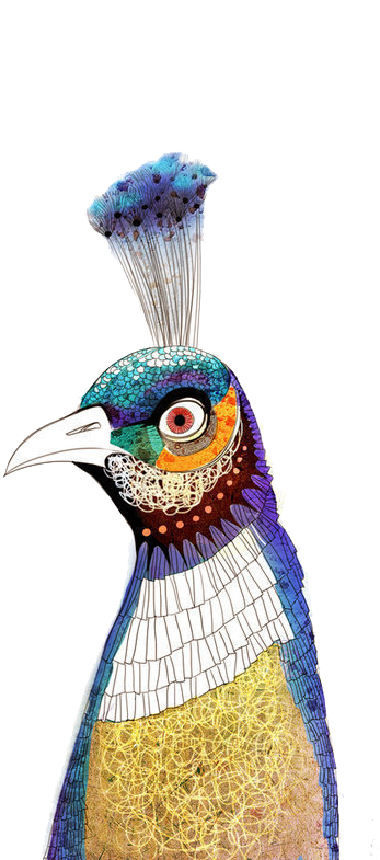 Bird Watercolor Painting - Bird Watercolor Painting (554x784)