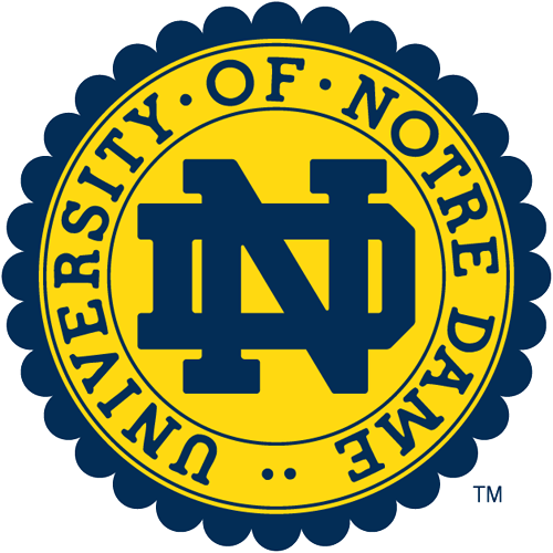 0-pres Notre Dame Fighting Irish Alternate Logo Iron - Notre Dame Fighting Irish Logo Png (500x500)