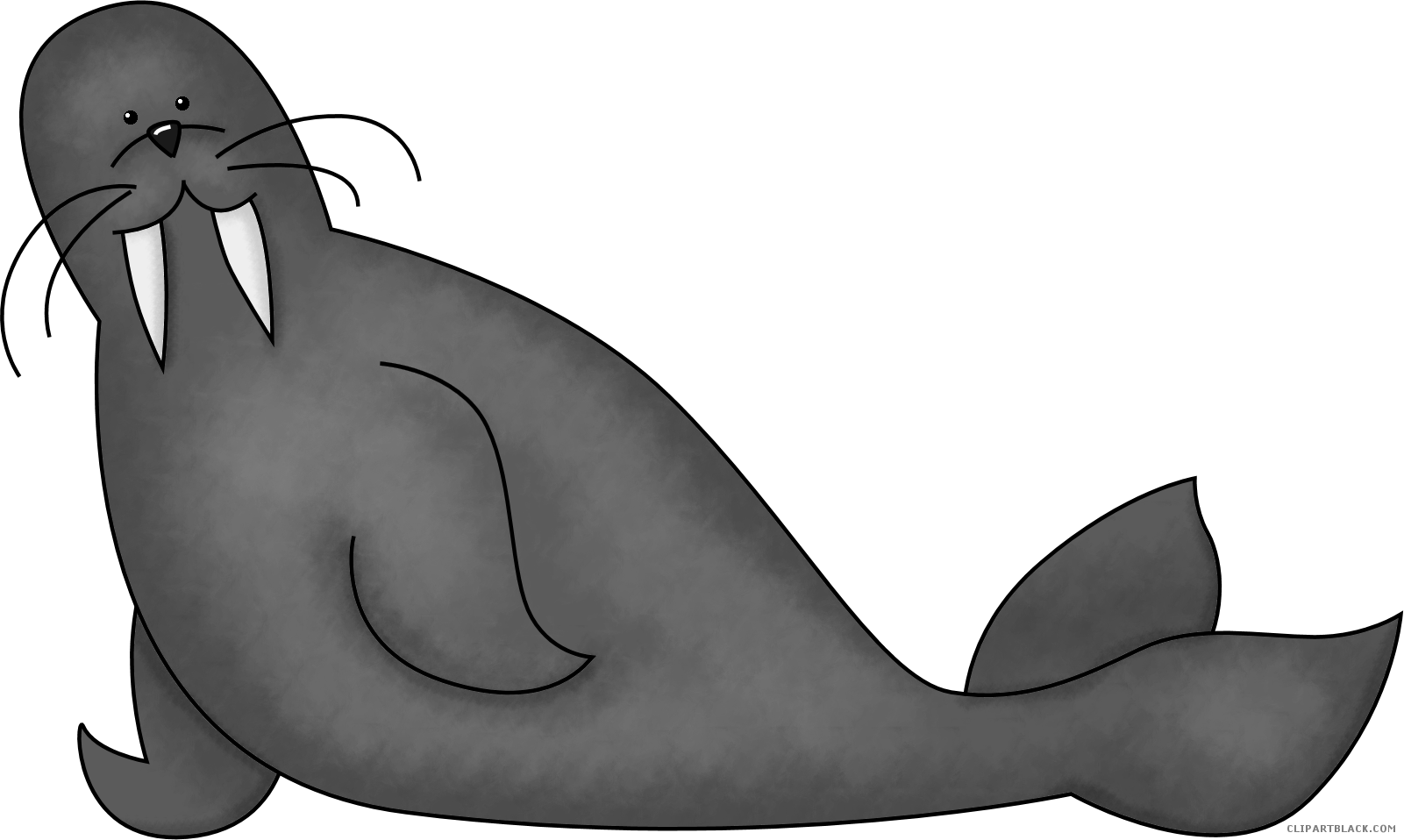 Walrus Animal Free Black White Clipart Images Clipartblack - Black And White Walrus Clipart (1601x958)
