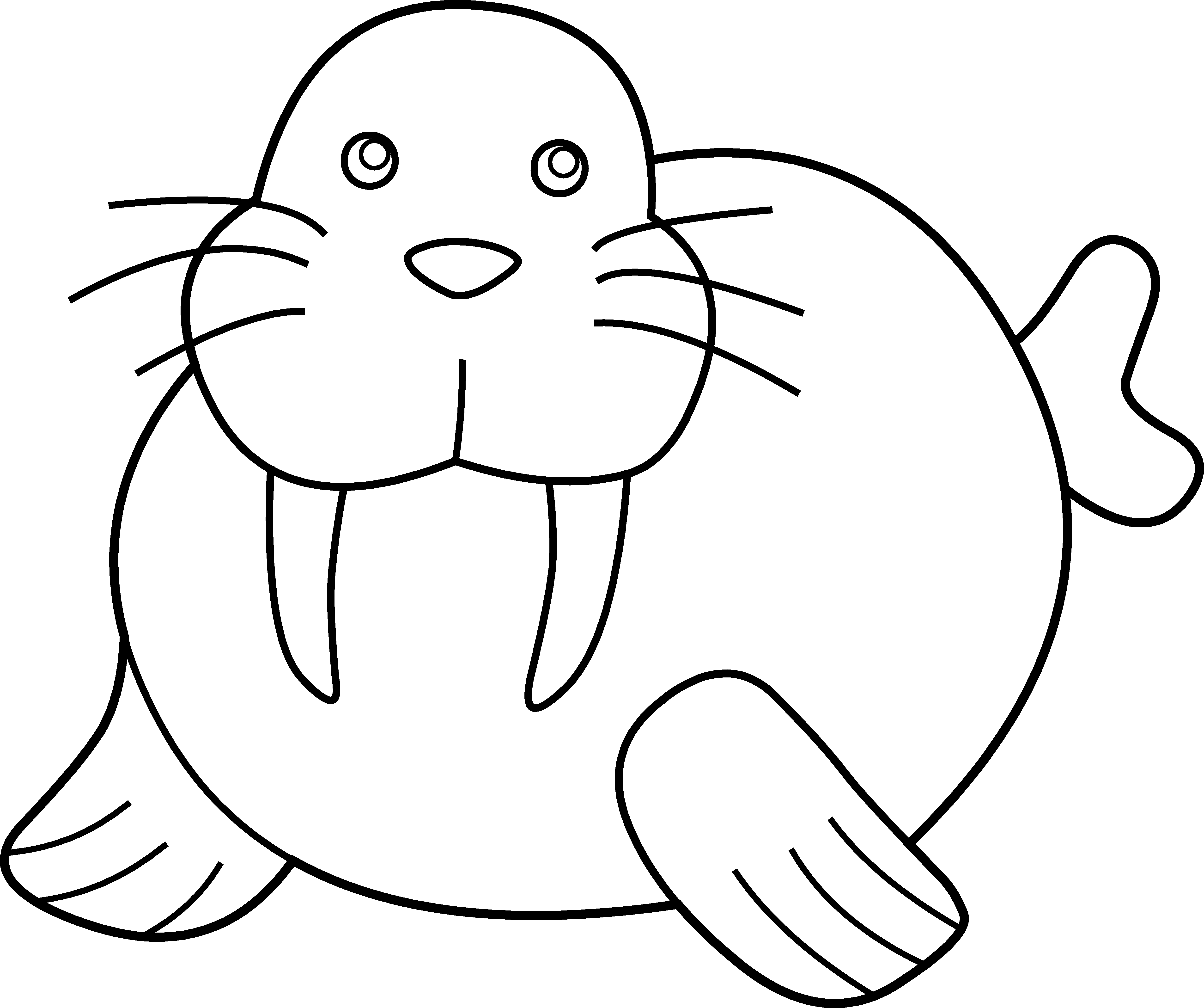 Walrus Animal Free Black White Clipart Images Clipartblack - Walrus Coloring Page (5014x4196)
