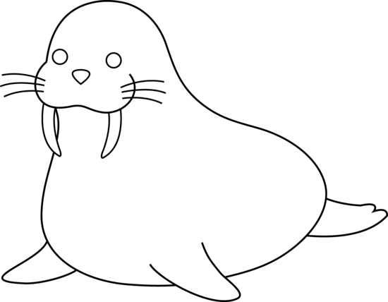 Walrus Clipart Black And White - Cartoon Walrus Outline (550x428)