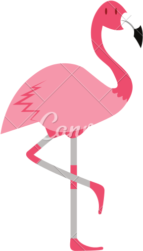 Cartoon Flamingo Isolated On White Background - Transparent Background Flamingo Png (550x550)