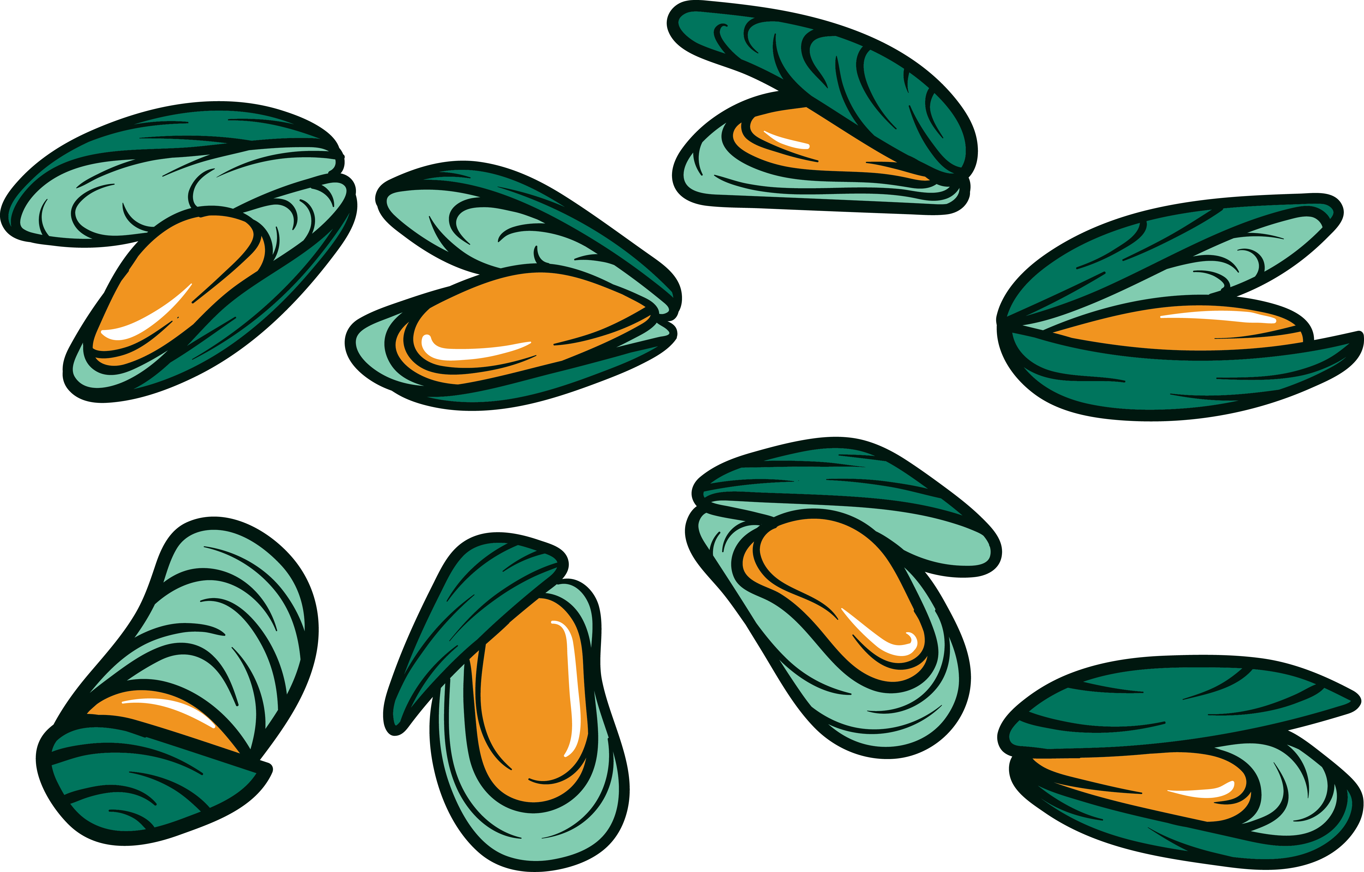 Mussel Seafood Oyster Squid Clip Art - Mussel Seafood Oyster Squid Clip Art (5200x3327)