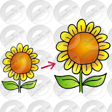 Grow Picture - Grow Picture (380x380)