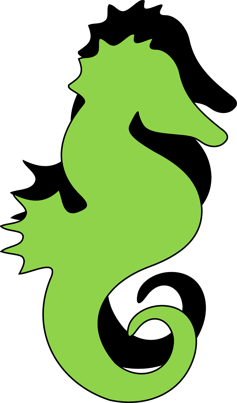 Seahorse Shadow Silhouette Green Png Image - Silueta De Caballo De Mar (755x1280)