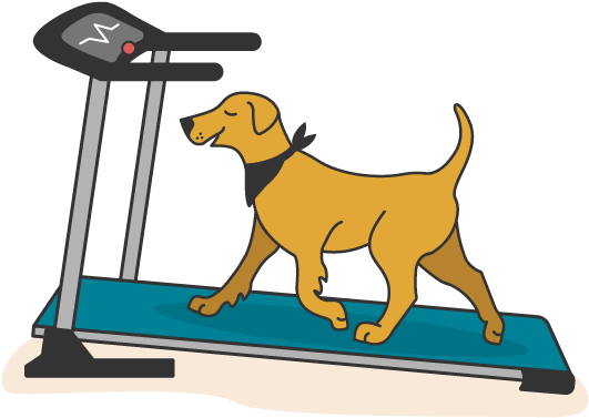 Pets Clipart Our - Clip Art (550x450)