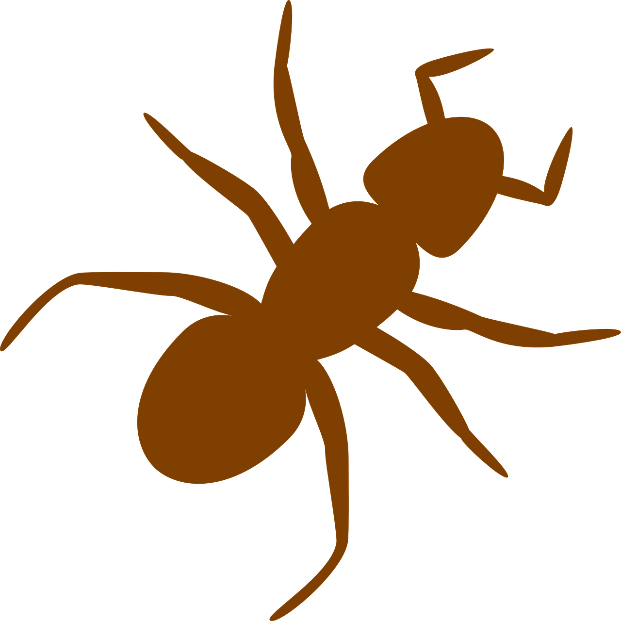Ant Insect Silhouette Brown Png Image - Ant Clip Art (1280x1280)
