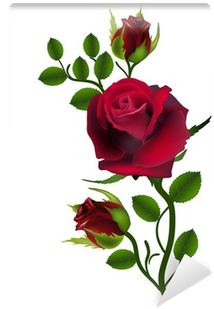 Rosas Con Fondo Blanco (400x400)