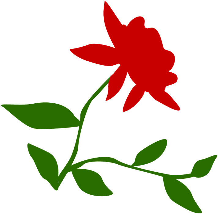Flower (720x720)