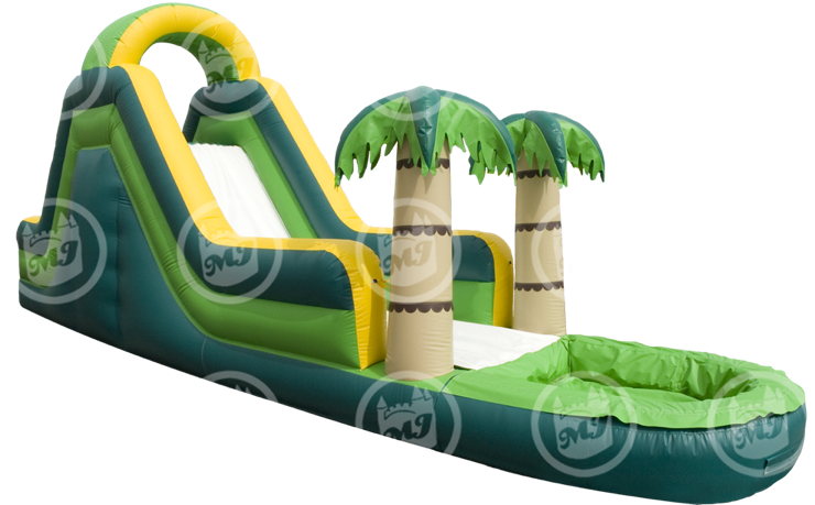Dolphin Waterslide Rental - Water Slide (750x536)