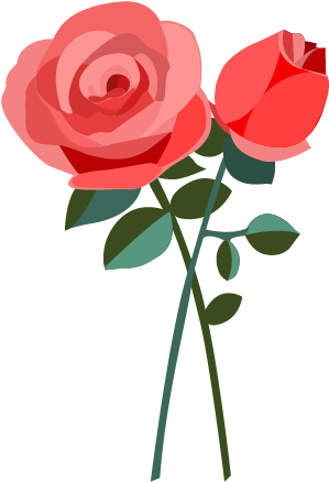 Drawn Red Rose Faded Rose - Illustration (512x512)