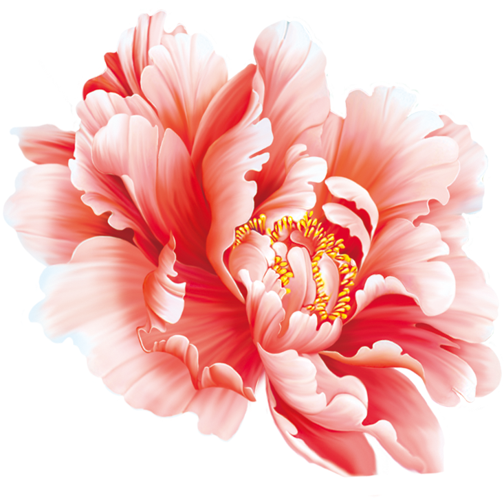 Floral Design Flower Painting In Watercolor Peony Chinese - Peony Flower Chinese Painting (1025x970)