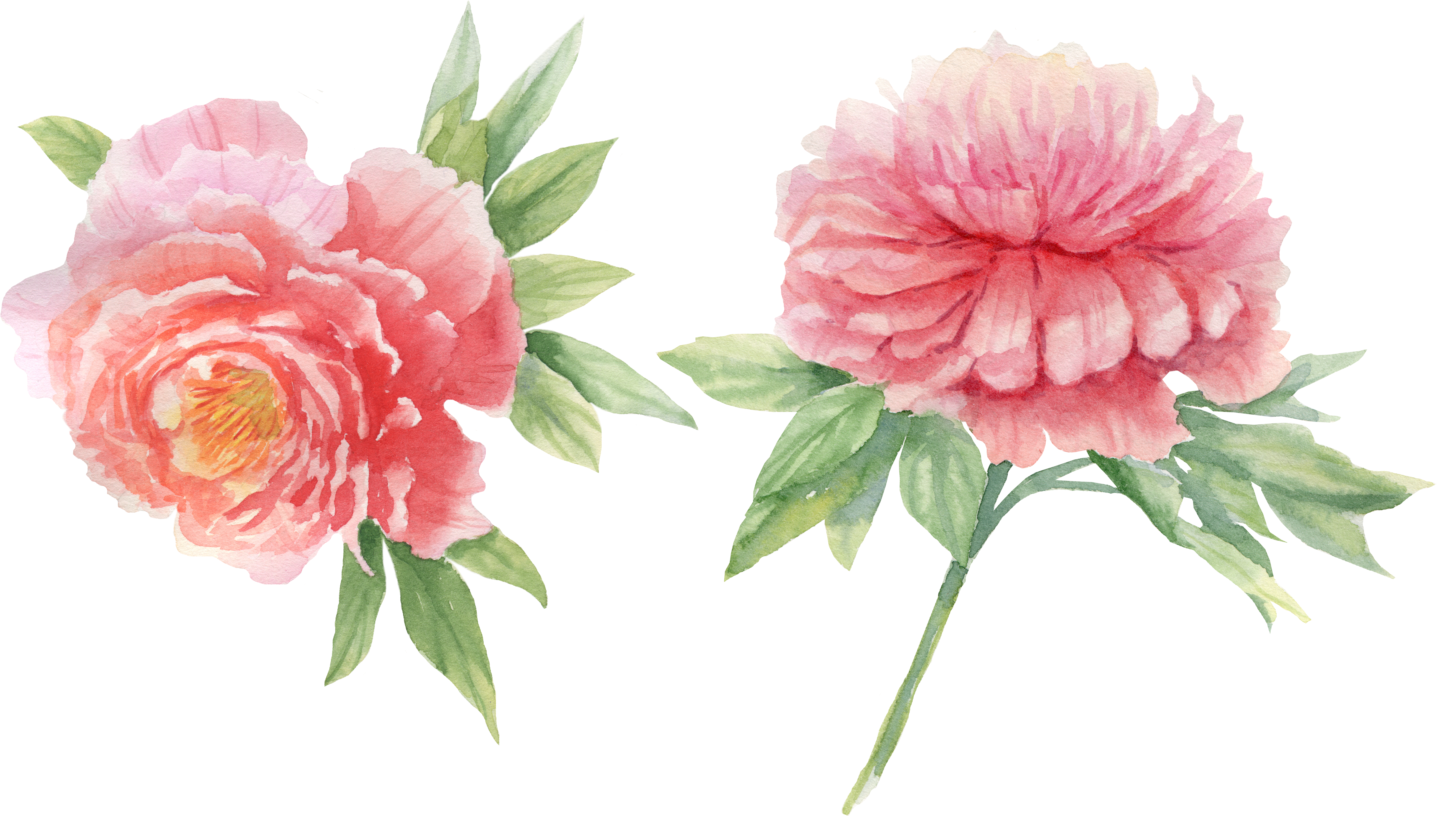 Tag - Fiction - Tag - Fiction (9469x6642)