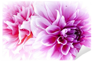 Nobody's Perfect - Trade Paperback (400x400)