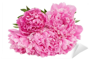 Common Peony (400x400)