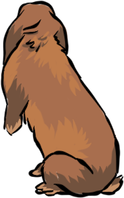 Kikukiku Messages Sticker-6 - Punxsutawney Phil (408x408)