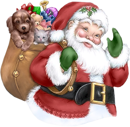 Santa - Christmas Clipart Santa (458x448)