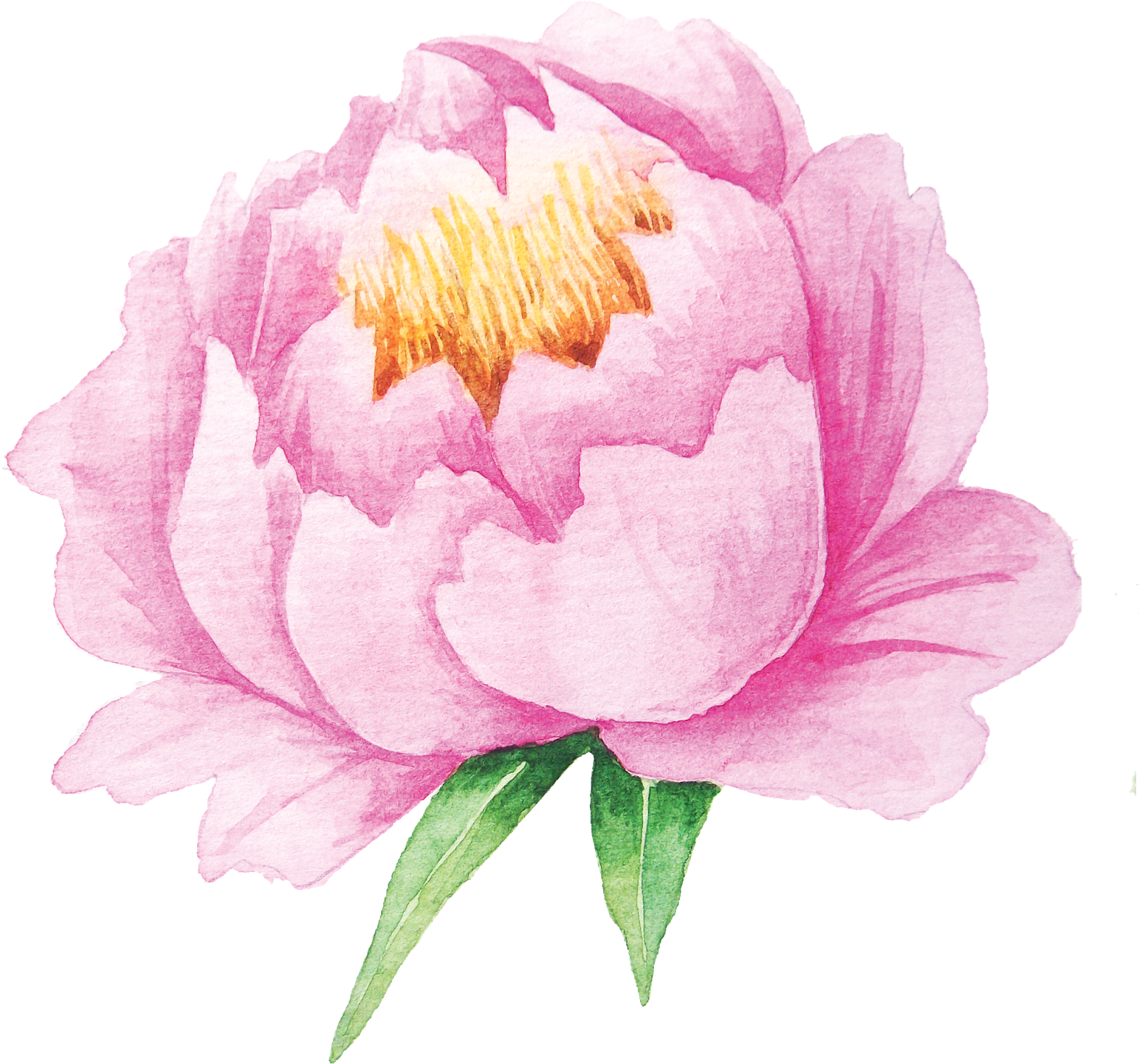 From Creative Market Watercolor Pastel Flowers - Free Printable Flower Stickers (1600x1539)