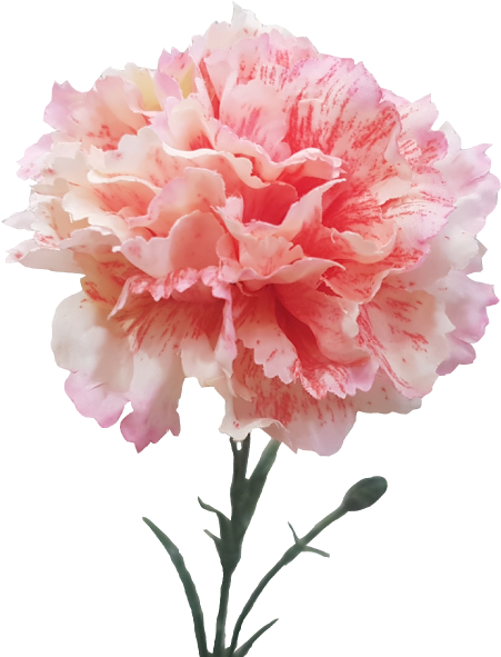 Creamred Carnation Artificial Faux Flower S9998crmrd - Carnation (800x600)